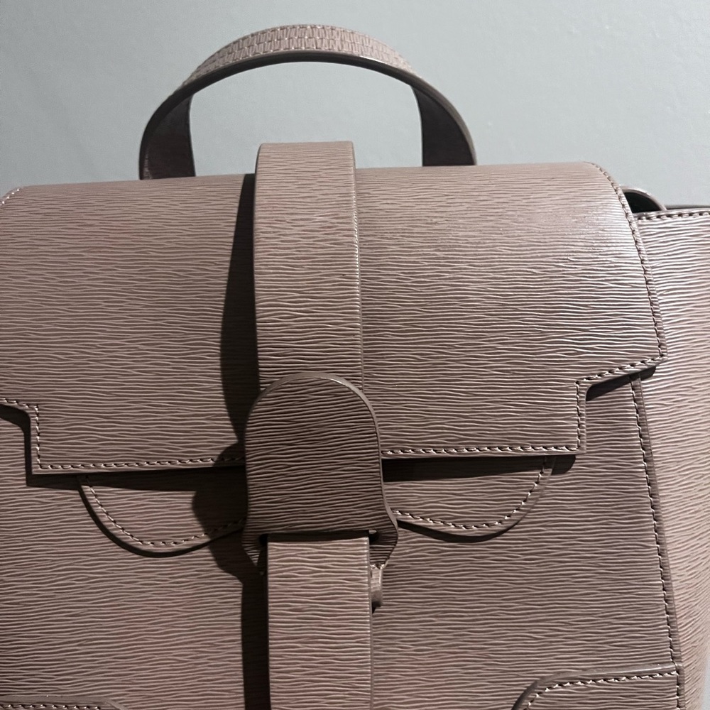 Mini Maestra Senreve bag